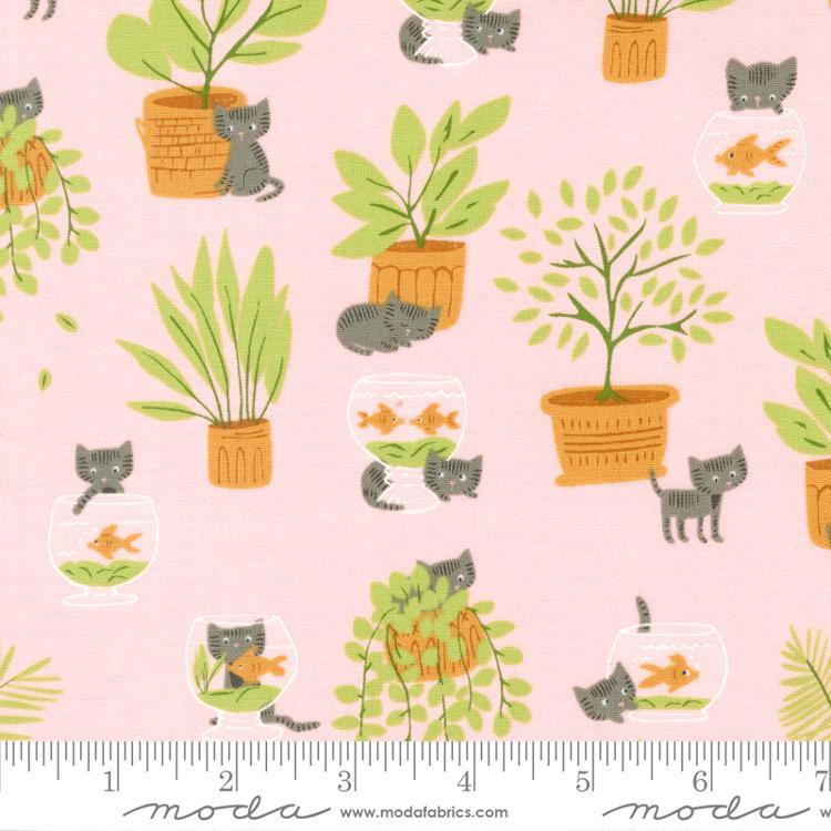 Here Kitty Kitty: Mischievous in Pink Here Kitty Kitty: Mischievous in Pink