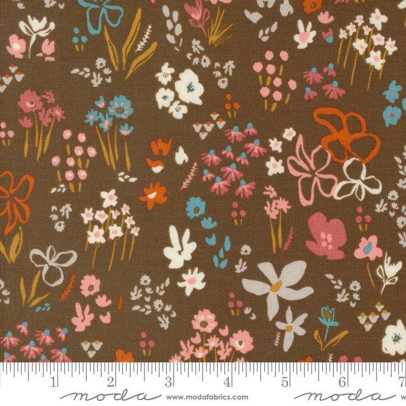 Things Above: Scattered Seeds in Cocoa Things Above: Scattered Seeds in Cocoa